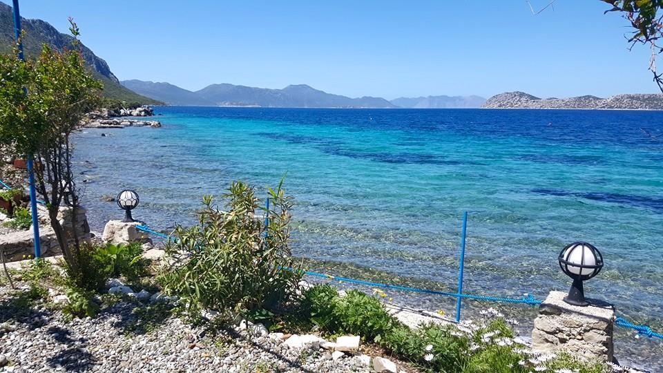 Mavi Akvaryum Pension Hotel Sogut  Exterior photo