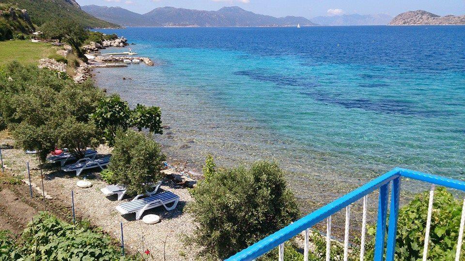 Mavi Akvaryum Pension Hotel Sogut  Exterior photo