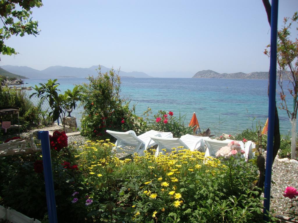 Mavi Akvaryum Pension Hotel Sogut  Exterior photo
